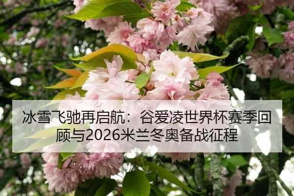bing-xue-fei-chi-zai-qi-hang-gu-ai-ling-shi-jie-bei-sai-ji-hui-gu-yu-mi-lan-dong-ao-bei-zhan-zheng-cheng-2-691.jpg