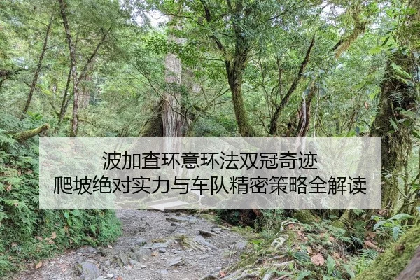 bo-jia-cha-huan-yi-huan-fa-shuang-guan-qi-ji-pa-po-jue-dui-shi-li-yu-che-dui-jing-mi-ce-lve-quan-jie-du-2-289.jpg