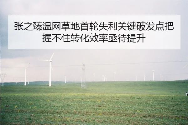 张之臻温网草地首轮失利关键破发点把握不住转化效率亟待提升
